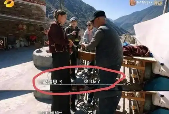 刘诗诗_刘诗诗生日引杨幂祝福_刘诗诗和吴奇隆现状