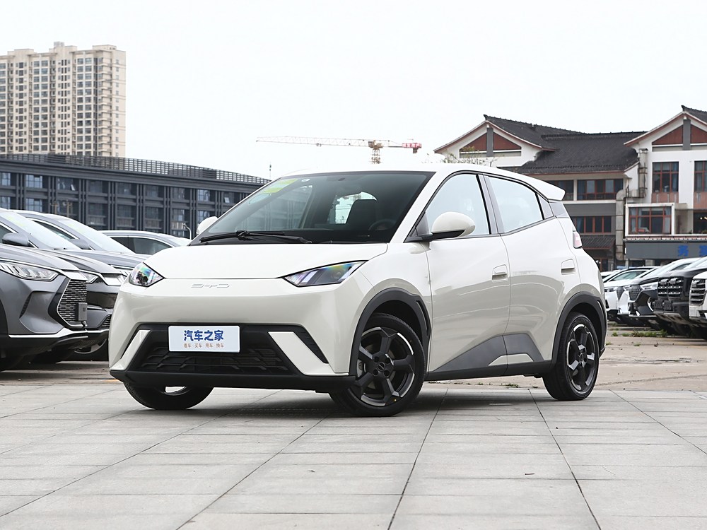 新能源车如何选择？比亚迪海鸥值得考虑_海鸥汽车_比亚迪鲨鱼海鸥