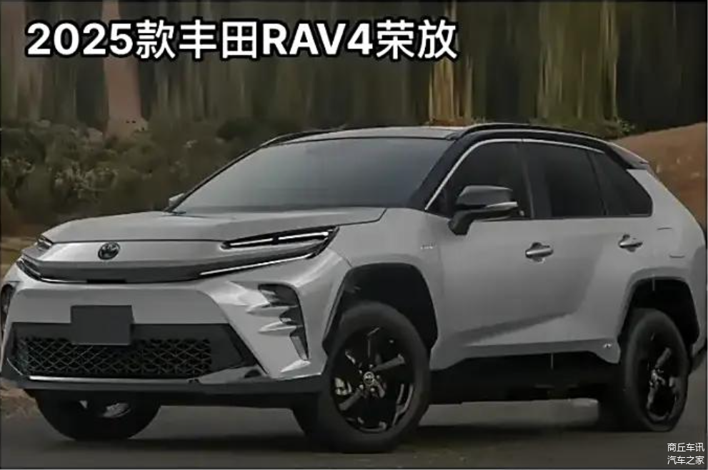 面对市场的不确定性，新能源汽车应如何调整战略？_能源战略概念_能源战略政策