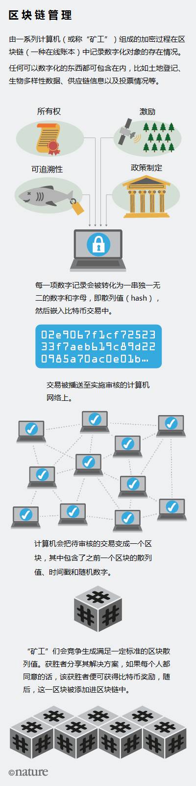 以太坊代理_支持以太坊付费的商家_以太坊作为新一代支付系统的潜力：从技术到市场
